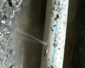 姜堰卫生间测漏水多少钱