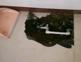 姜堰卫生间测漏水多少钱